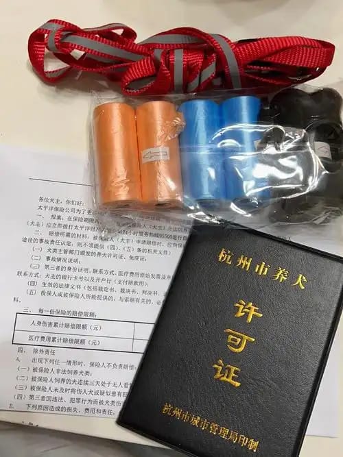 证件制作案例展示2